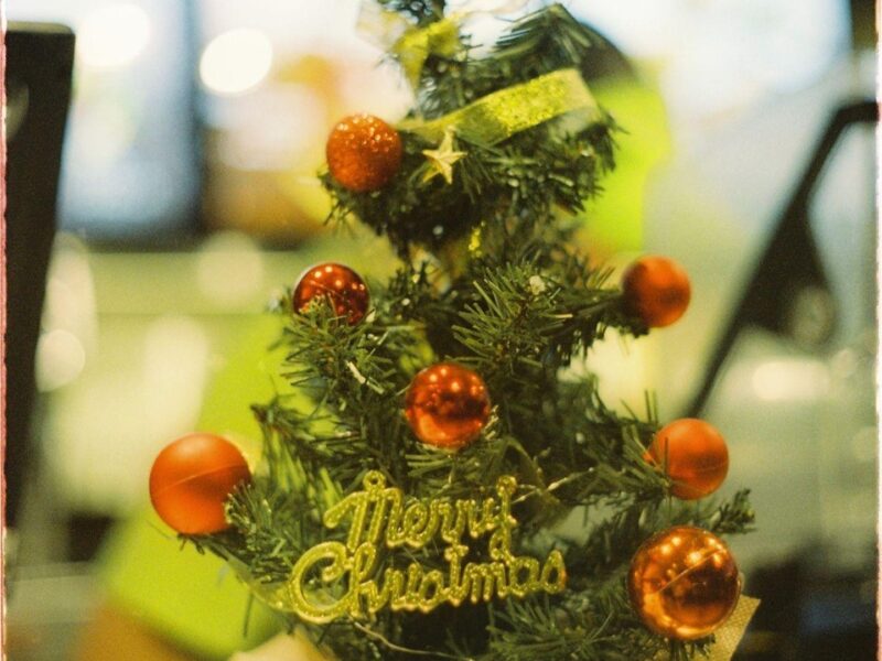 Enhance Holiday Charm with a Skinny Christmas Tree