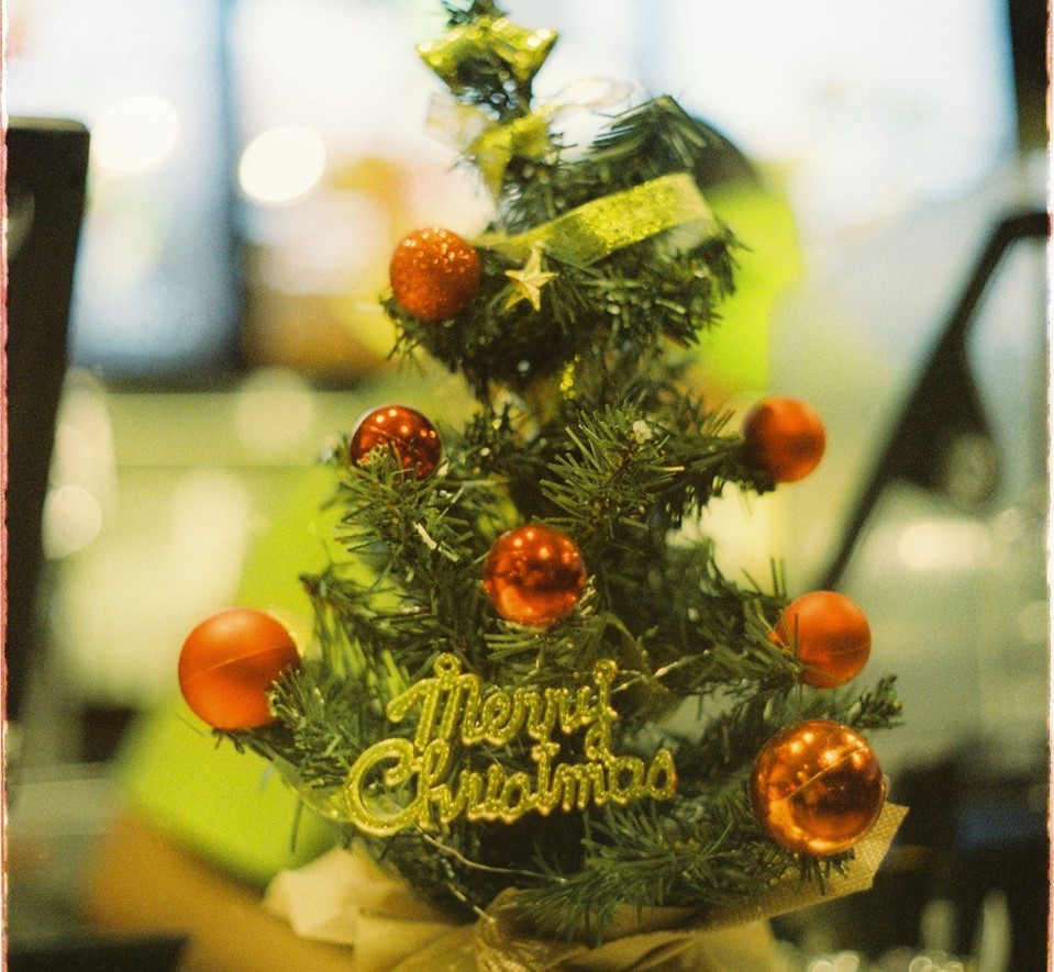 Enhance Holiday Charm with a Skinny Christmas Tree